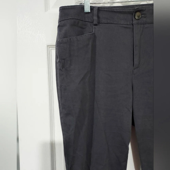 LOFT Oulet Dark Gray Skinny Ankle Pants in Size 12 - Picture 2 of 11